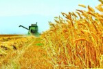 15 دولة تستورد الجرارات الزراعية من ايران
