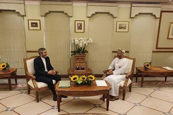 باقري كني يلتقي وزير خارجية سلطنة عمان